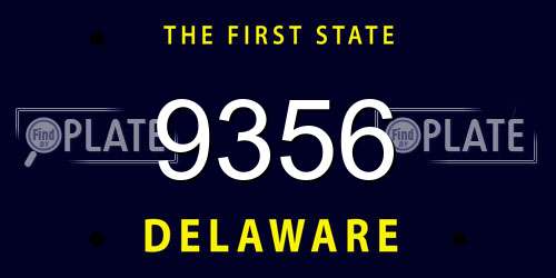 9356 Delaware License Plate