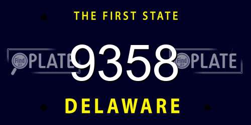 9358 Delaware License Plate