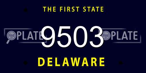 9503 Delaware License Plate