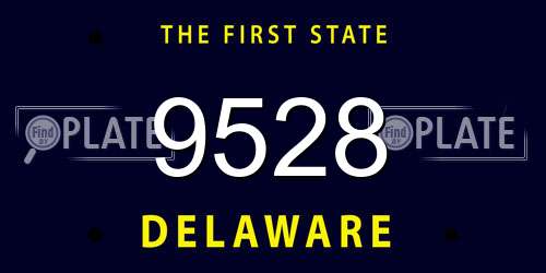 9528 Delaware License Plate