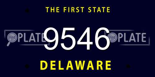 9546 Delaware License Plate