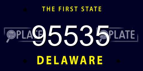 95535 Delaware License Plate