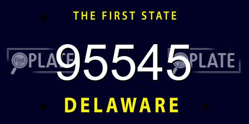 95545 Delaware License Plate