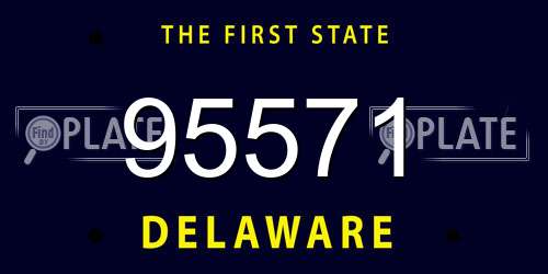 95571 Delaware License Plate
