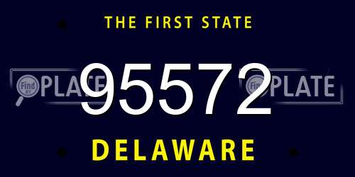 95572 Delaware License Plate