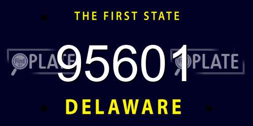 95601 Delaware License Plate