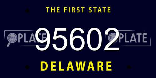 95602 Delaware License Plate