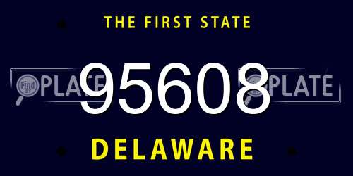 95608 Delaware License Plate