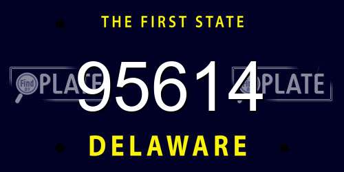 95614 Delaware License Plate