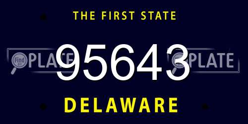 95643 Delaware License Plate