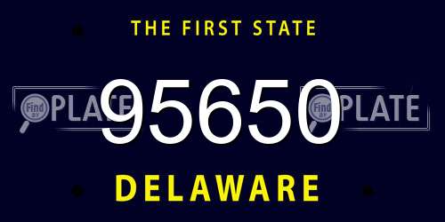 95650 Delaware License Plate