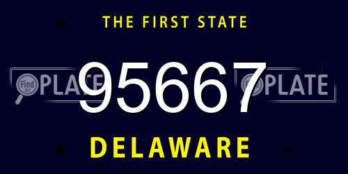 95667 Delaware License Plate