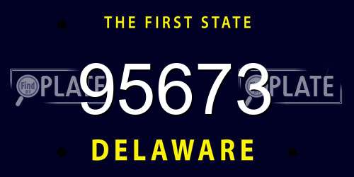 95673 Delaware License Plate
