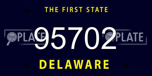 95702 Delaware License Plate