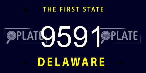 9591 Delaware License Plate