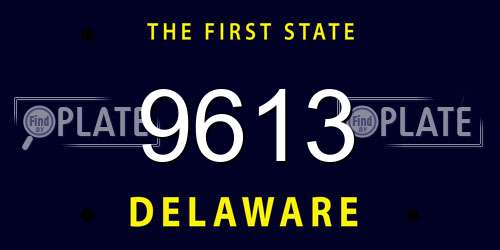 9613 Delaware License Plate