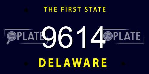 9614 Delaware License Plate