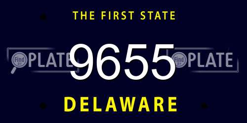 9655 Delaware License Plate