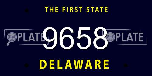 9658 Delaware License Plate
