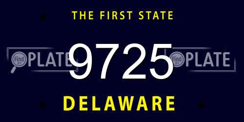 9725 Delaware License Plate