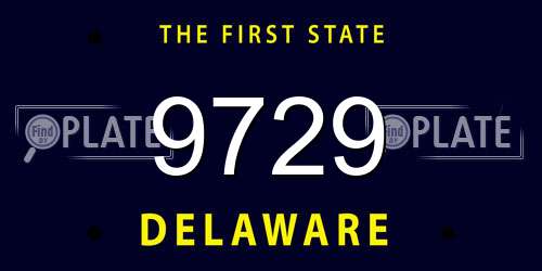 9729 Delaware License Plate