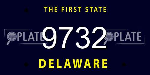 9732 Delaware License Plate