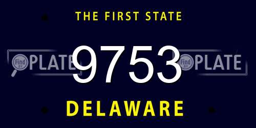 9753 Delaware License Plate