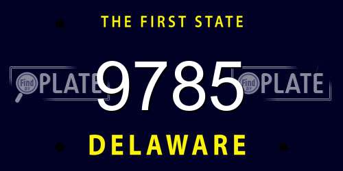 9785 Delaware License Plate