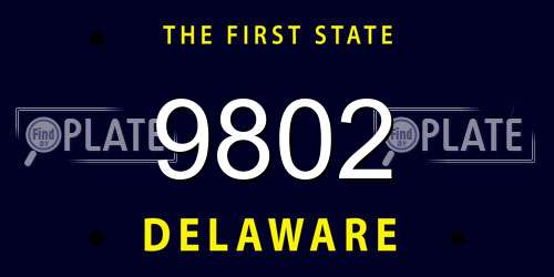 9802 Delaware License Plate