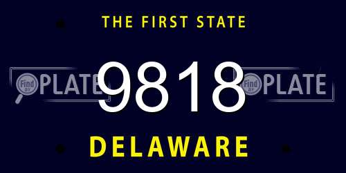 9818 Delaware License Plate