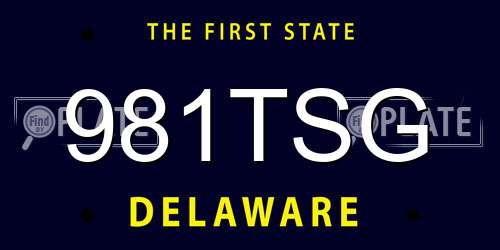 981TSG Delaware License Plate