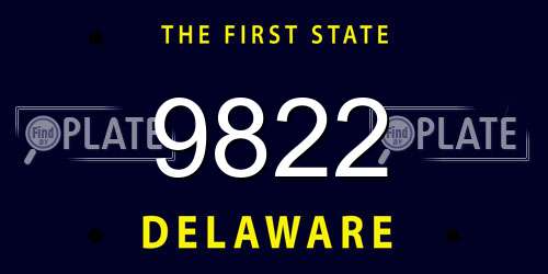 9822 Delaware License Plate