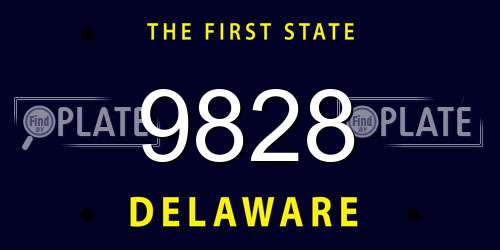 9828 Delaware License Plate