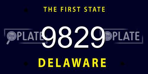 9829 Delaware License Plate
