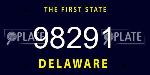 98291 Delaware License Plate