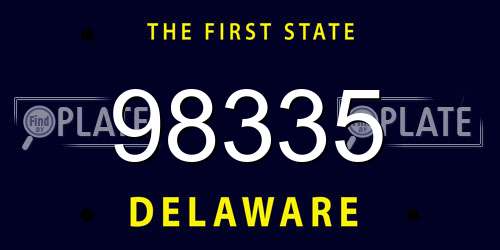 98335 Delaware License Plate