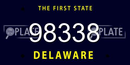 98338 Delaware License Plate
