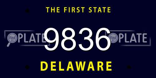 9836 Delaware License Plate