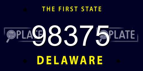 98375 Delaware License Plate