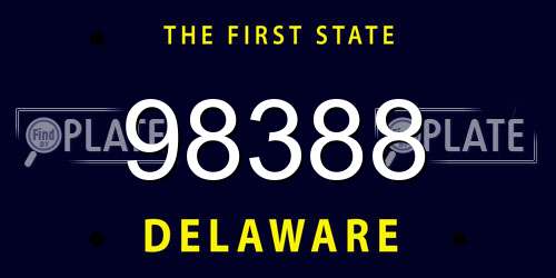 98388 Delaware License Plate