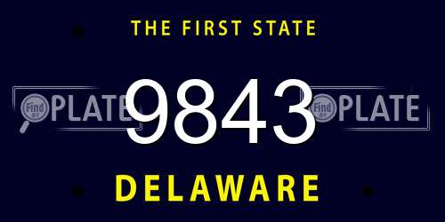 9843 Delaware License Plate