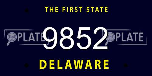 9852 Delaware License Plate