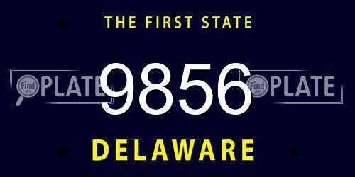 9856 Delaware License Plate