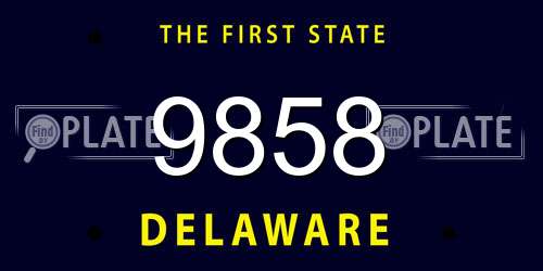 9858 Delaware License Plate