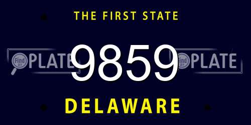 9859 Delaware License Plate
