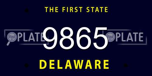 9865 Delaware License Plate