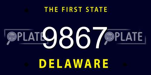 9867 Delaware License Plate