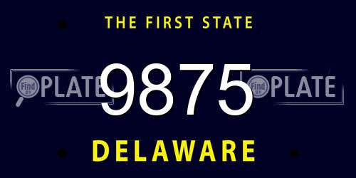 9875 Delaware License Plate