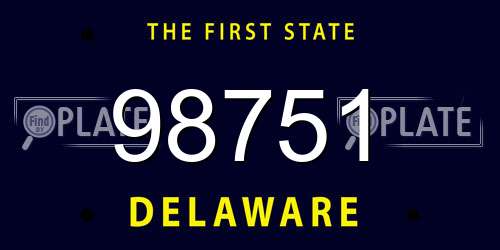 98751 Delaware License Plate