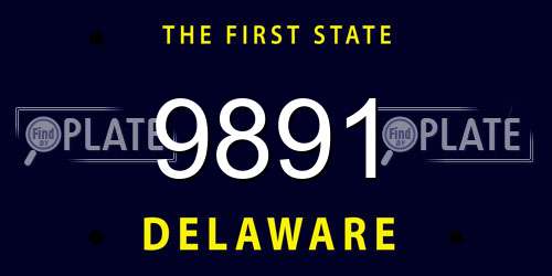 9891 Delaware License Plate